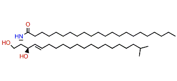 Iotrochotamide I